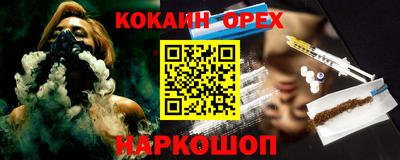 гашик Аргун