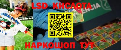 гашик Аргун