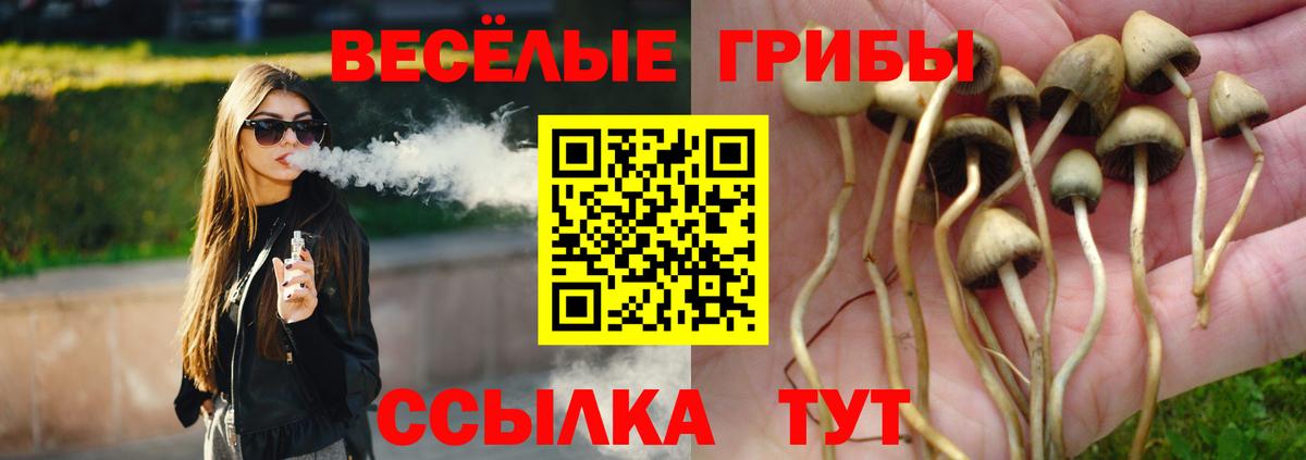 Псилоцибиновые грибы GOLDEN TEACHER Артём